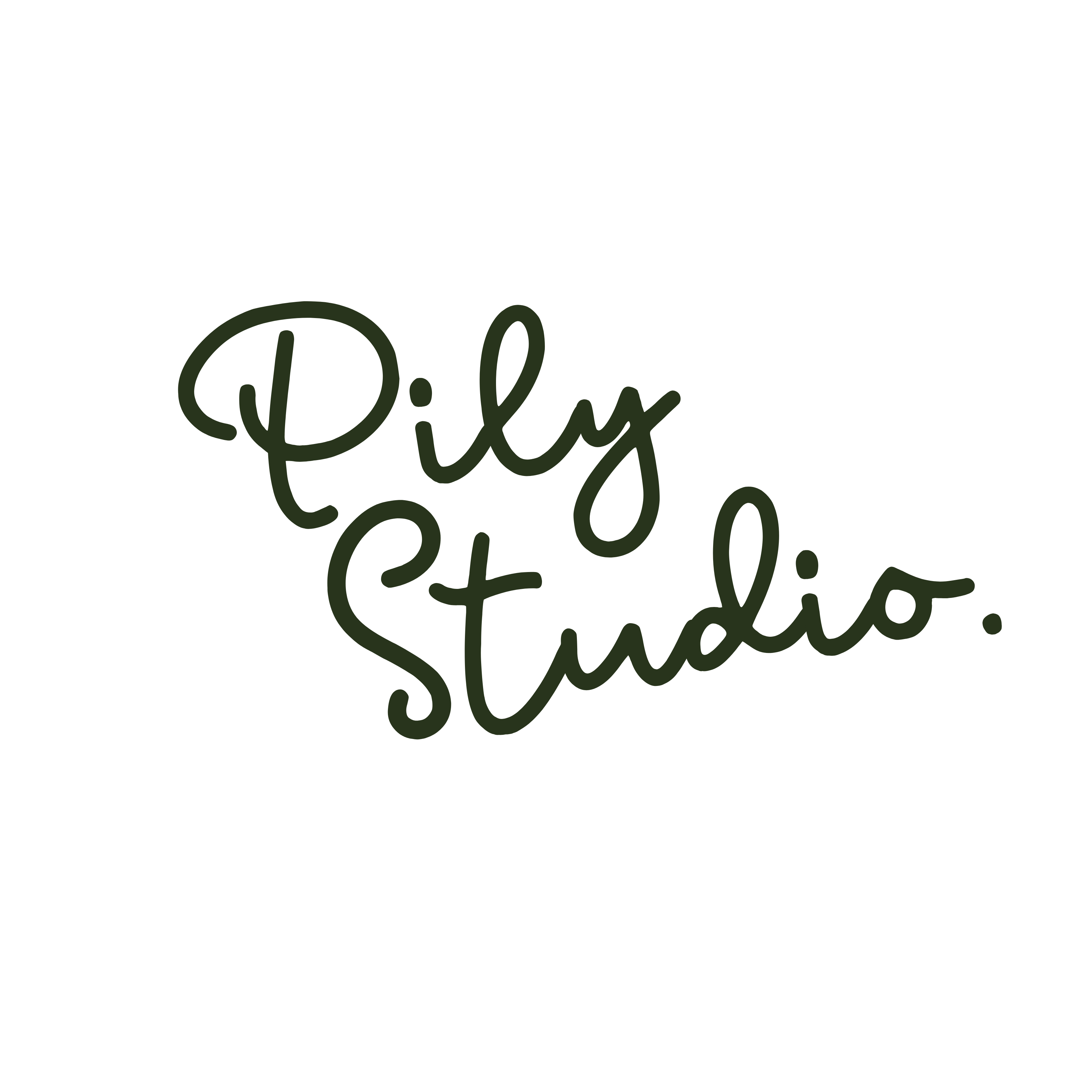 Pily Studio.